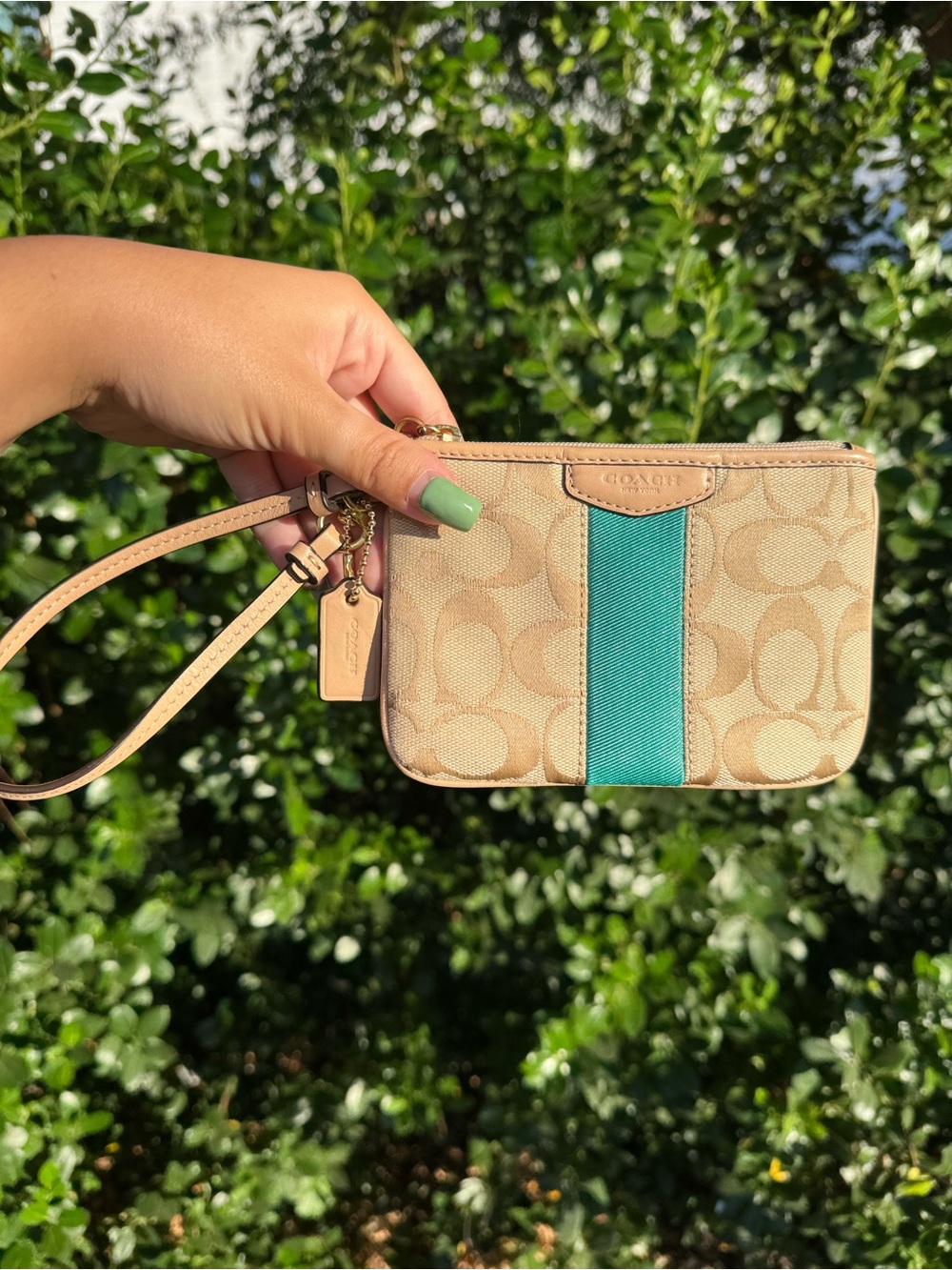 Coach Beige Signature Canvas Wristlet with Teal Center Stripe